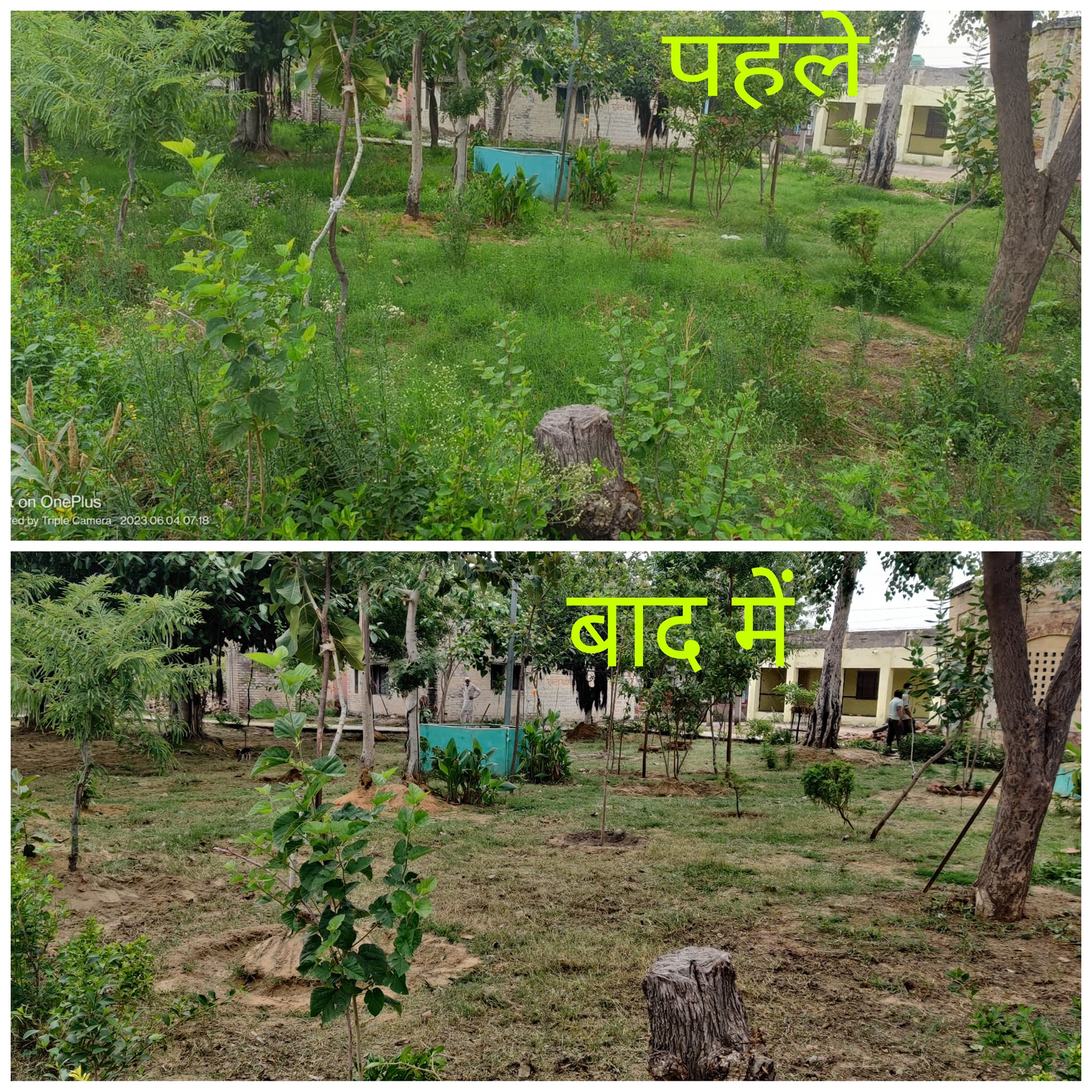 7th Super Social Sunday मदीना कोरसान में पार्क सफाई अभियान